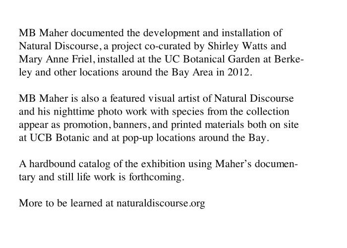 http://23.32.mbmaher.com/files/gimgs/th-4_natural.jpg